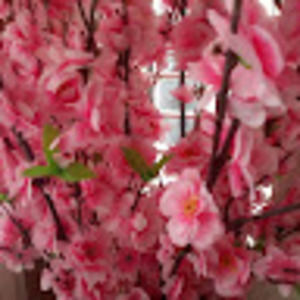 Meet your Posher, Maryam